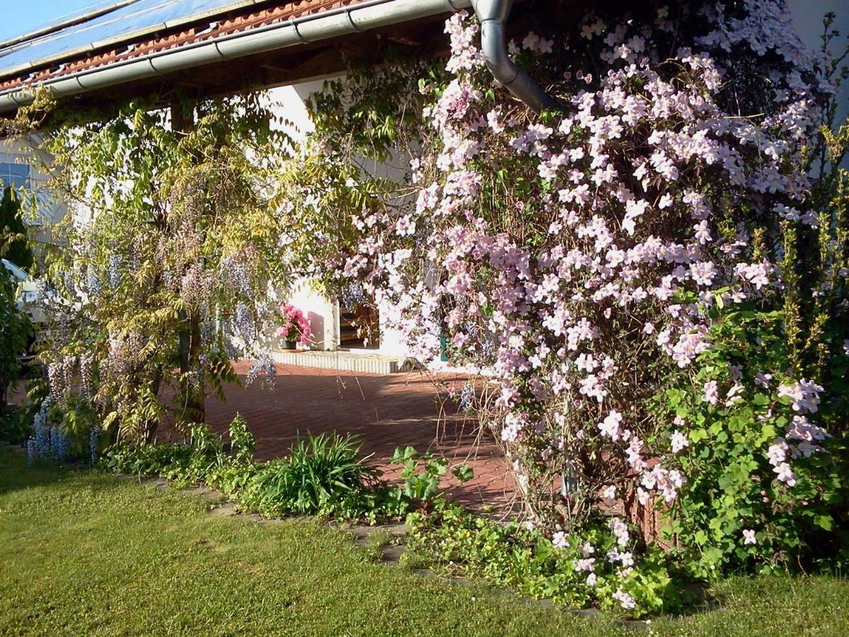 Ferienwohnung Buxheim  Buitenkant foto